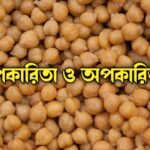 কাঁচা ছোলা খাওয়ার উপকারিতা ও অপকারিতা