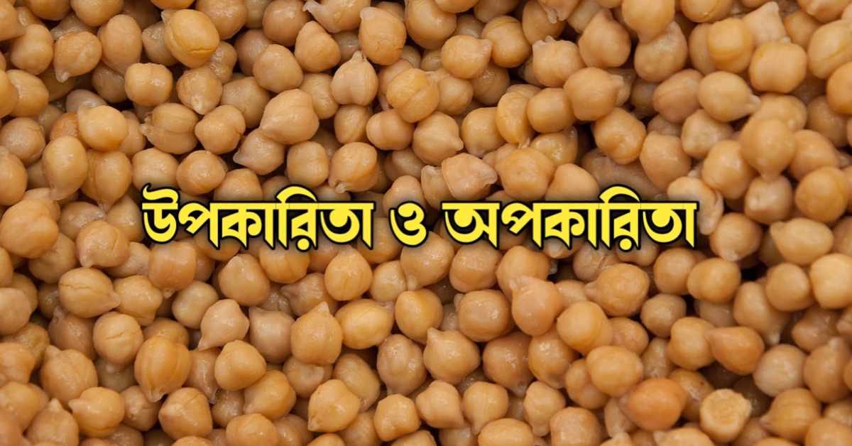 কাঁচা ছোলা খাওয়ার উপকারিতা ও অপকারিতা