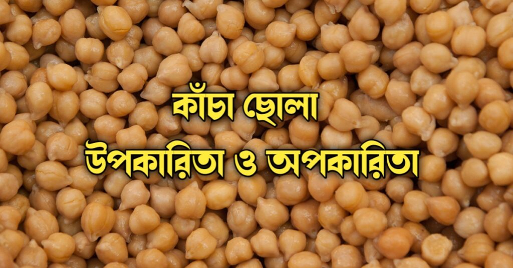 কাঁচা ছোলা খাওয়ার উপকারিতা ও অপকারিতা 